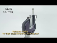 food industry caster / food service caster